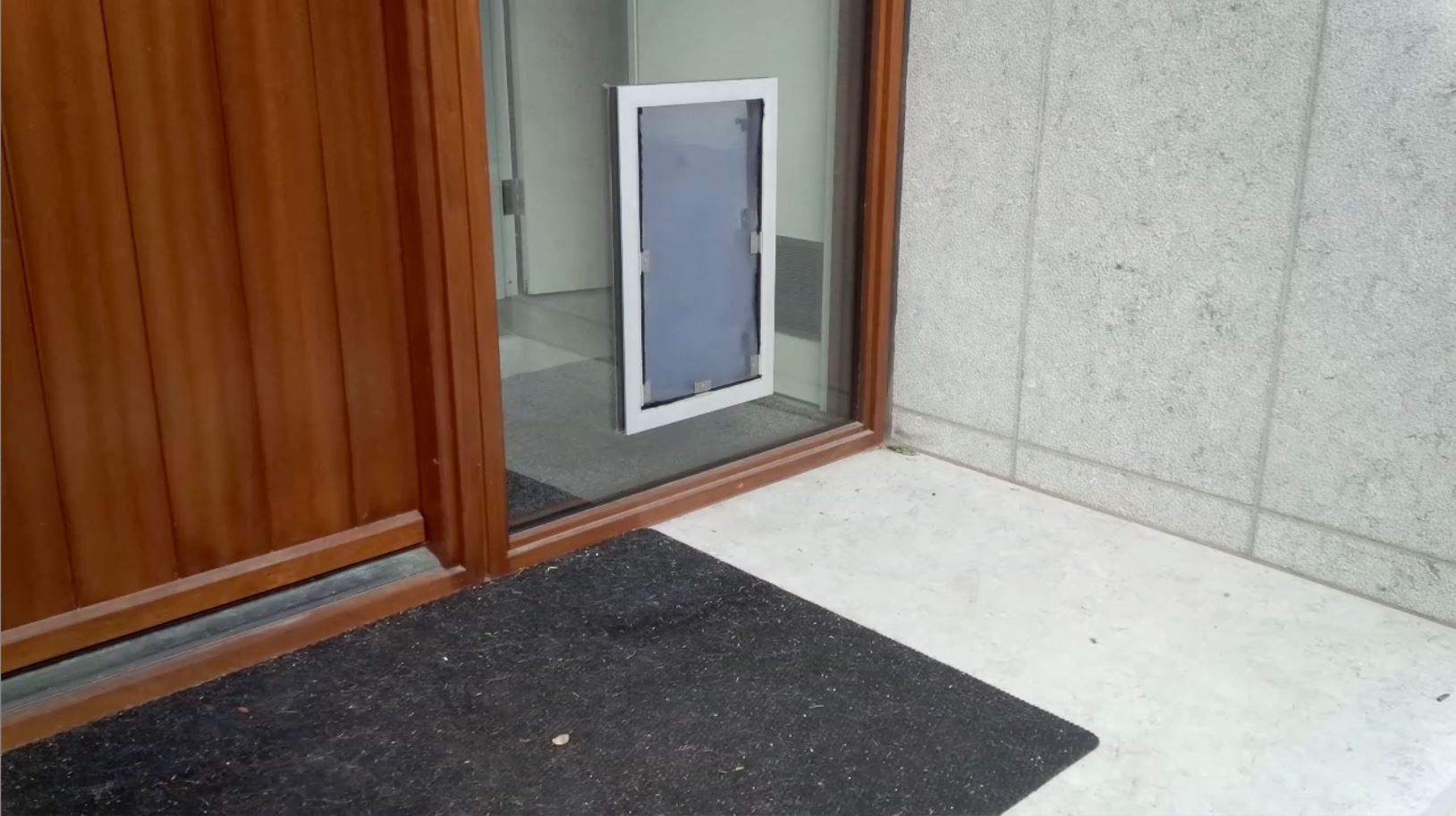 Custom Doggy Door