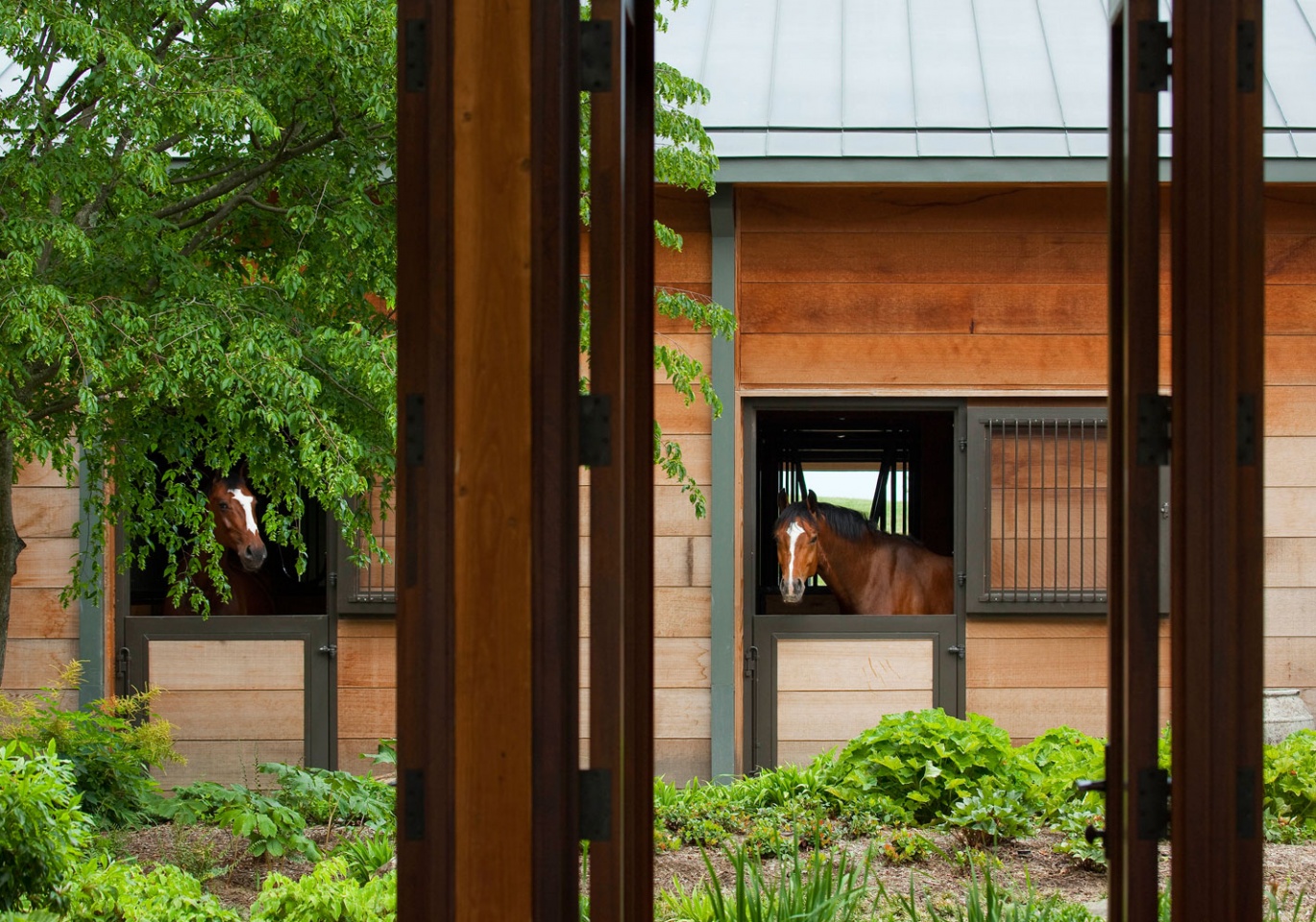 Butler Horse Ranch, Virginia Image 1