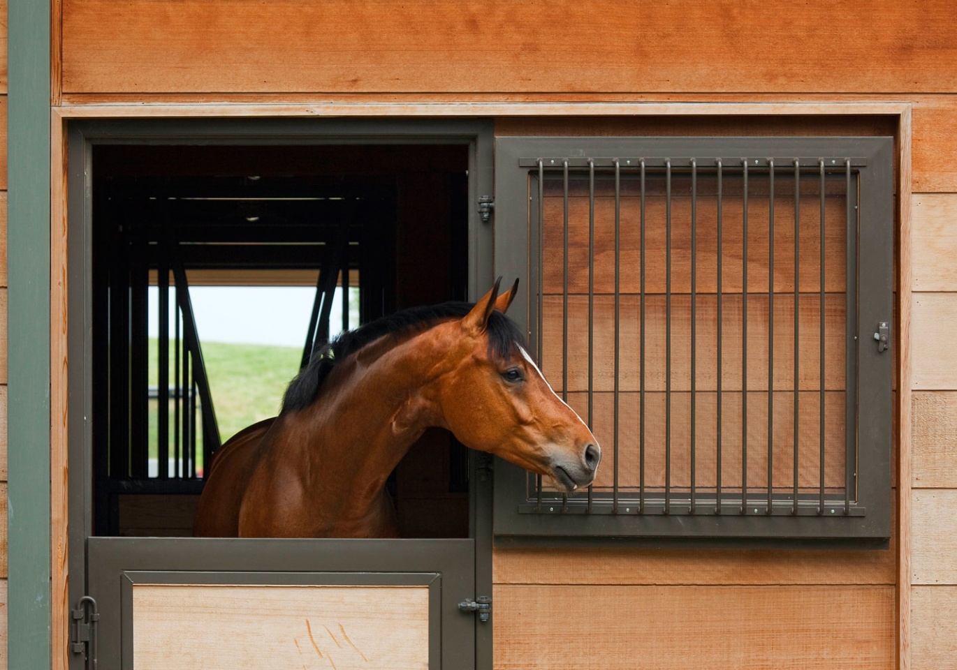 Butler Horse Ranch, Virginia Image 12