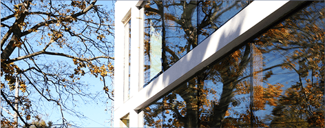 reflection series, contemporary, windows, doors